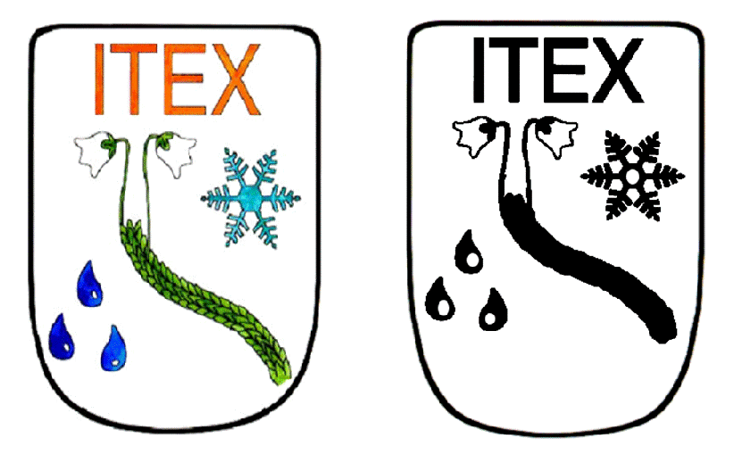 ITEX logo powerpoint